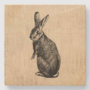 Antique Rabbit Illustration Bunny Art und Weise mi Steinuntersetzer