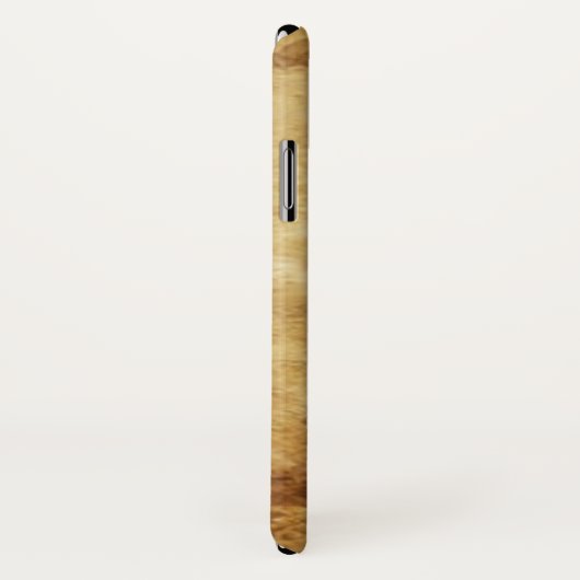 ANTIQUE RENAISSANCE-TAROTS / MAID DER MÜNZEN Case-Mate iPhone HÜLLE (Hinten/Rechts)