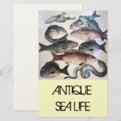ANTIQUE ROMAN MOSAICS, FISCHE, MEERESLEBENSZENE BRIEFPAPIER (Vorne/Hinten)