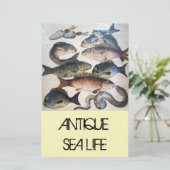 ANTIQUE ROMAN MOSAICS, FISCHE, MEERESLEBENSZENE BRIEFPAPIER (Stehend Vorderseite)