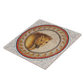 ANTIQUE ROMAN MOSAICS / LIBE FLIESE (Seite)