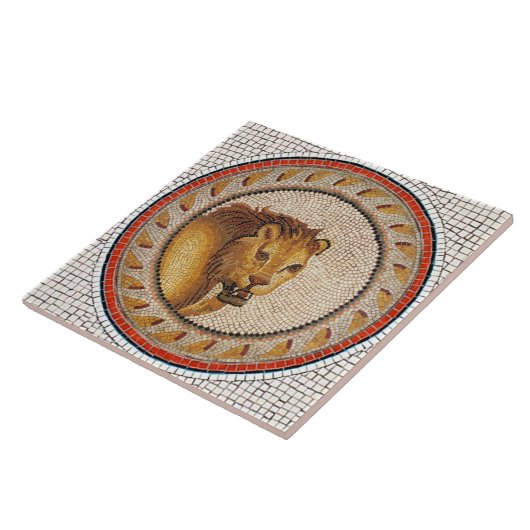ANTIQUE ROMAN MOSAICS / LIBE FLIESE (Seite)