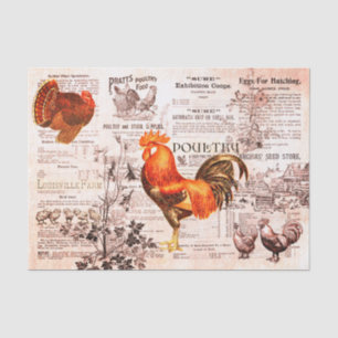 Antique Rooster Gartenbau Ads Ephemera Rot Seidenpapier