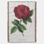 Antique Rose Lithograph, François-Frédéric Grobon Decke (Vorderseite Vertikal)