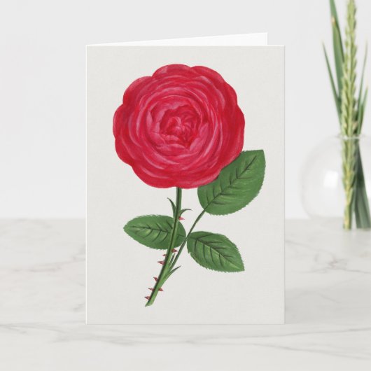Antique Rose Lithograph, François-Frédéric Grobon Karte (Vorderseite)