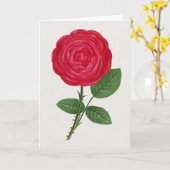 Antique Rose Lithograph, François-Frédéric Grobon Karte (Gelbe Blume)