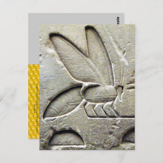 ANTIQUE SCHWARZ-WEISSE ÄGYPTISCHE HONEY BIE BEEKEE POSTKARTE (Vorne/Hinten)