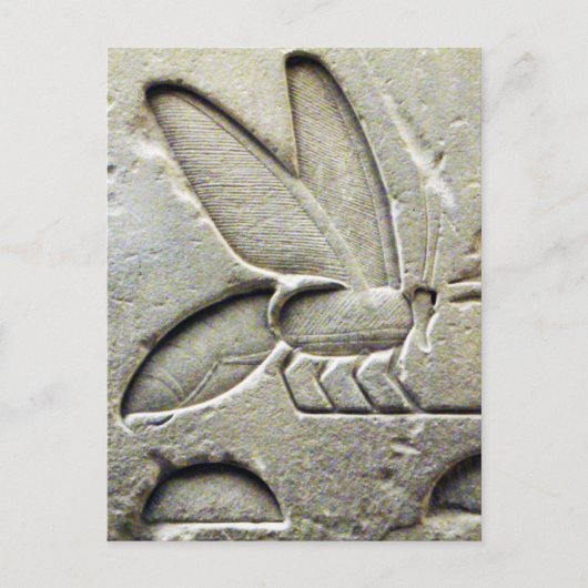ANTIQUE SCHWARZ-WEISSE ÄGYPTISCHE HONEY BIE BEEKEE POSTKARTE (Vorderseite)