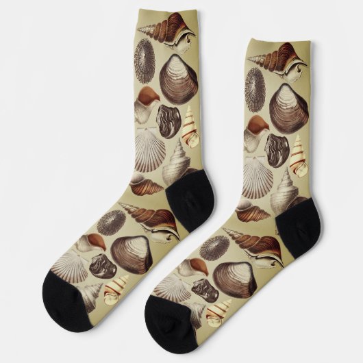 Antique Seashell Crew Socks Socken (Linkes Detail)