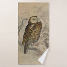 Antique Tawny Owl Print