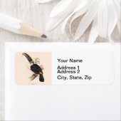 Antique Toucan Bird Wildlife Painting (Insitu)