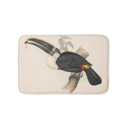 Antique Toucan Bird Wildlife Painting Badematte (Vorderseite)
