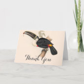Antique Toucan Bird Wildlife Painting Dankeskarte (Vorderseite)