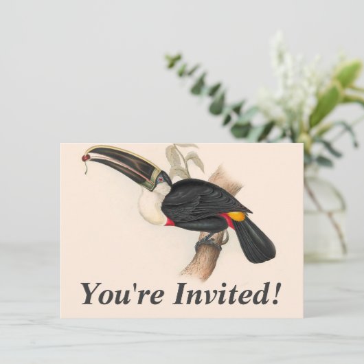 Antique Toucan Bird Wildlife Painting Einladung (Stehend Vorderseite)
