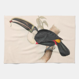 Antique Toucan Bird Wildlife Painting Geschirrtuch