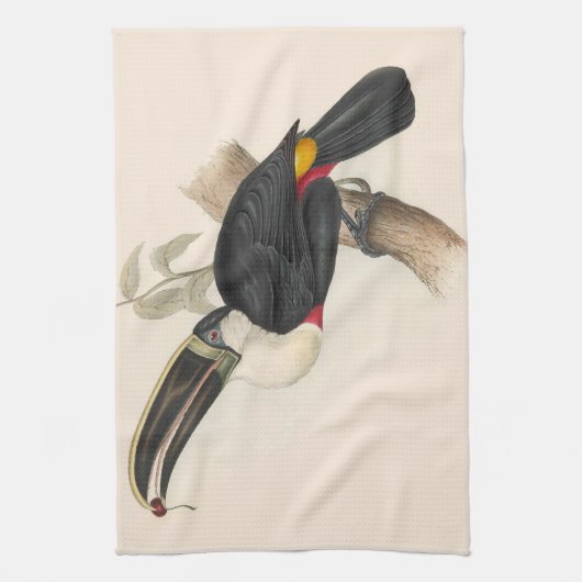 Antique Toucan Bird Wildlife Painting Geschirrtuch (Vertikal)