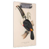 Antique Toucan Bird Wildlife Painting Klemmbrett (Rechts)