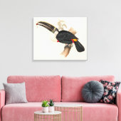 Antique Toucan Bird Wildlife Painting Leinwanddruck (Insitu (Wohnzimmer))