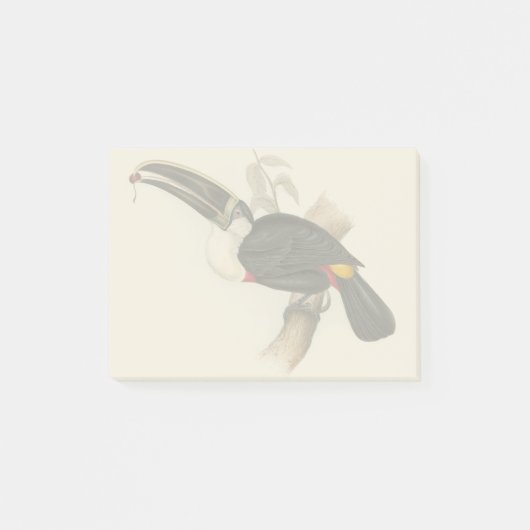 Antique Toucan Bird Wildlife Painting Post-it Klebezettel (Vorderseite)