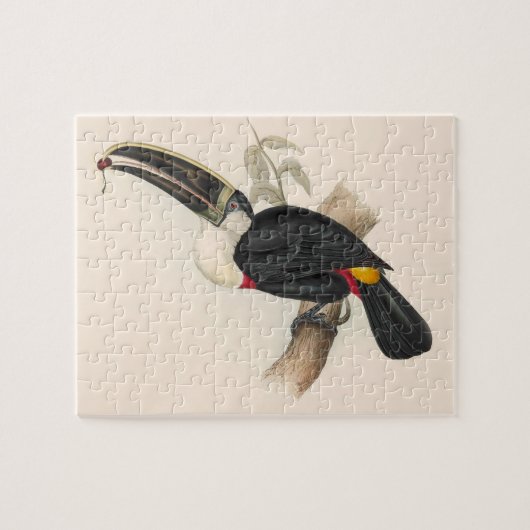 Antique Toucan Bird Wildlife Painting Puzzle (Horizontal)