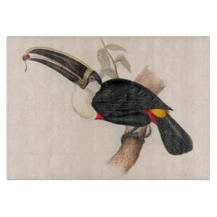 Antique Toucan Bird Wildlife Painting Schneidebrett