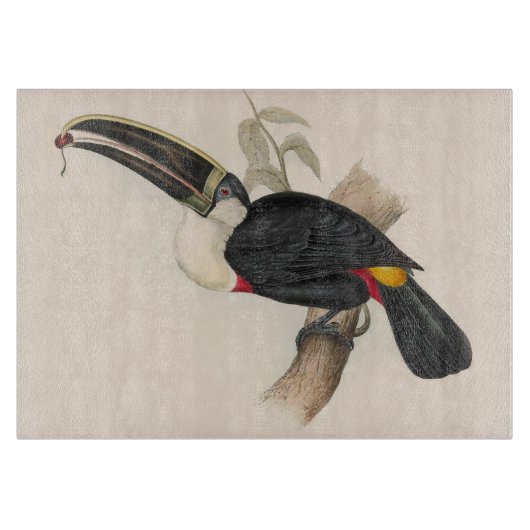 Antique Toucan Bird Wildlife Painting Schneidebrett (Vorderseite)
