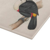 Antique Toucan Bird Wildlife Painting Schneidebrett (Ecke)
