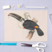 Antique Toucan Bird Wildlife Painting Seidenpapier (Handwerk)