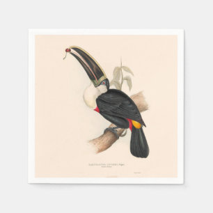 Antique Toucan Bird Wildlife Painting Serviette