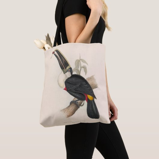 Antique Toucan Bird Wildlife Painting Tasche (Von Nahem)