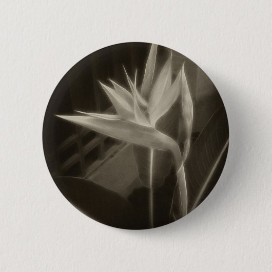 Antiqued Paradiesvogel 10 Button (Vorderseite)