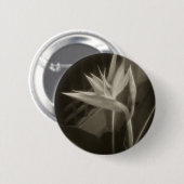 Antiqued Paradiesvogel 10 Button (Vorne & Hinten)