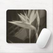 Antiqued Paradiesvogel 10 Mousepad (Mit Mouse)