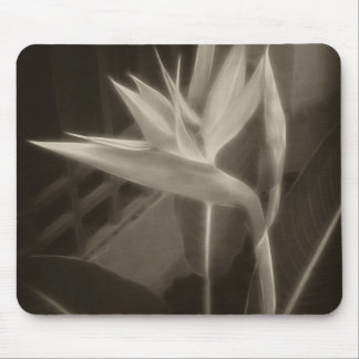 Antiqued Paradiesvogel 10 Mousepad