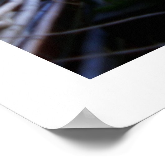 Antiques Row Fotografie Poster (Ecke)