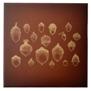 Antiquitäten Acorn Kunst, Illustriertes Vintages  Fliese