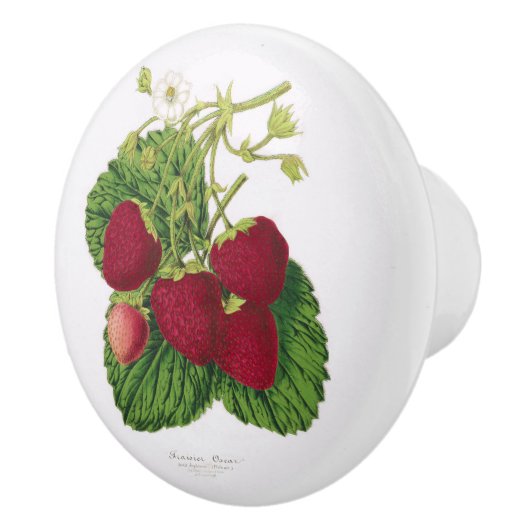 Antiquitäten Erdbeeren Druckknopf Keramik Keramikknauf (Rechts)