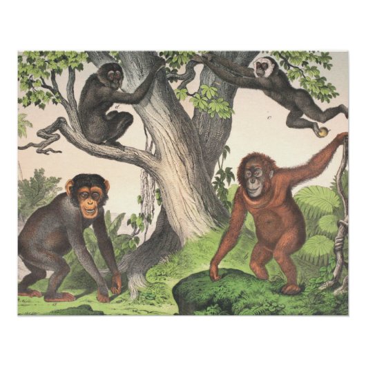 Antiquitäten Poster (Vorderseite)