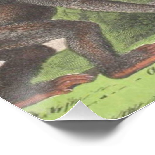 Antiquitäten Poster (Ecke)