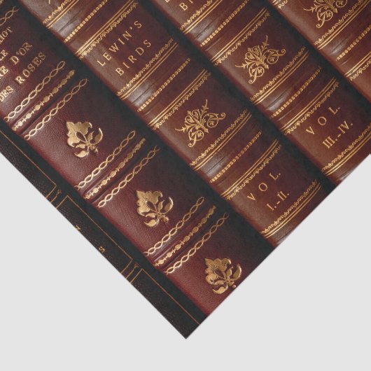 Antiquitätenbibliothek Leather Book Spines Decoupa Seidenpapier (Ausschnitt)