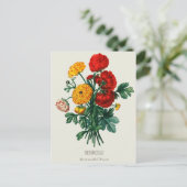 AntiquitätenBouquet, Rot-Gelb-Ranunculus-Blume Postkarte (Stehend Vorderseite)