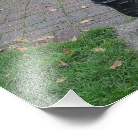 Antiquitätenbrunnen Fotodruck (Ecke)