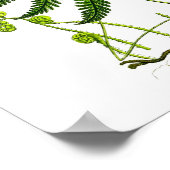 Antiquitätenbuchse Nr. 9 Botanische Schrift Poster (Ecke)