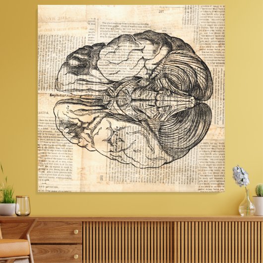 Antiquitätendiagramm Alte Mode Leinwanddruck (Insitu (Wohnzimmer))