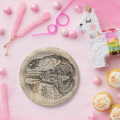 Antiquitätendiagramm Alte Mode Pappteller (Party)