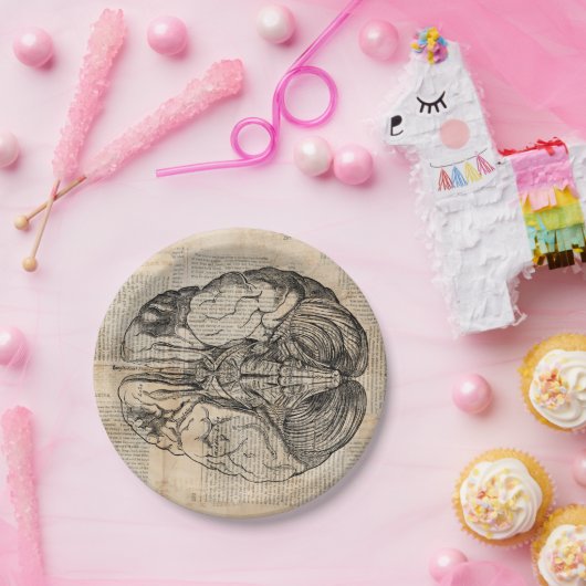 Antiquitätendiagramm Alte Mode Pappteller (Party)