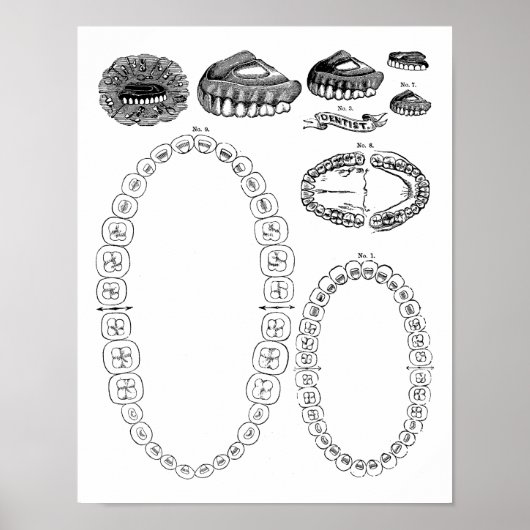 Antiquitätendiagramme für Zeltkronen drucken Poste Poster (Vorne)