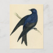 Antiquitätendruck eines Lila Martin Postkarte (Vorderseite)