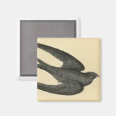 Antiquitätendruck Magnet (Vorderseite/Rückseite)