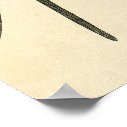 Antiquitätendruck Schlucken Poster (Ecke)